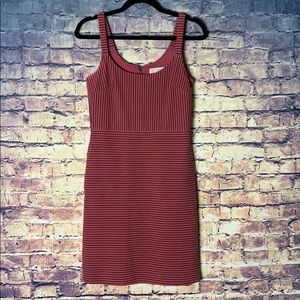 Ann Taylor LOFT Dress